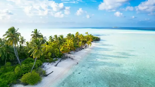 A trip to the Maldives means pristine beaches and wildlife-filled waters - Luxury Portfolio International