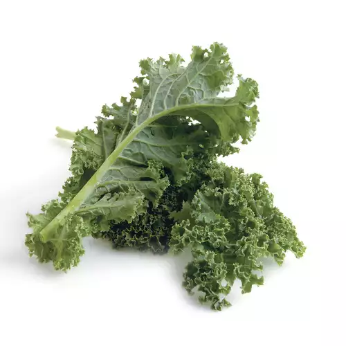 How to Grow Kale - FineGardening
