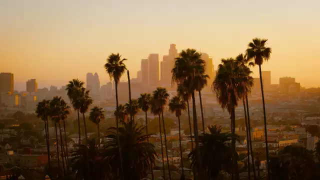 8 Reasons to Move to Los Angeles From the Locals Who Love Living There