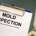 How to Check for Mold Before Purchasing a Home