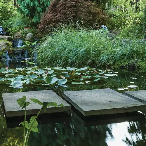 Tour a Sustainable Backyard Garden Retreat  - FineGardening