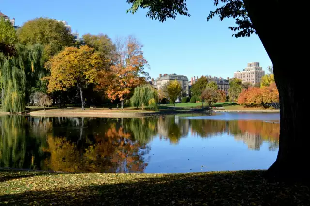 Uncover the Best of Boston: A Local’s Guide to the City’s Hidden Gems